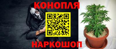 ПСИЛОЦИБИНОВЫЕ ГРИБЫ Вышний Волочёк
