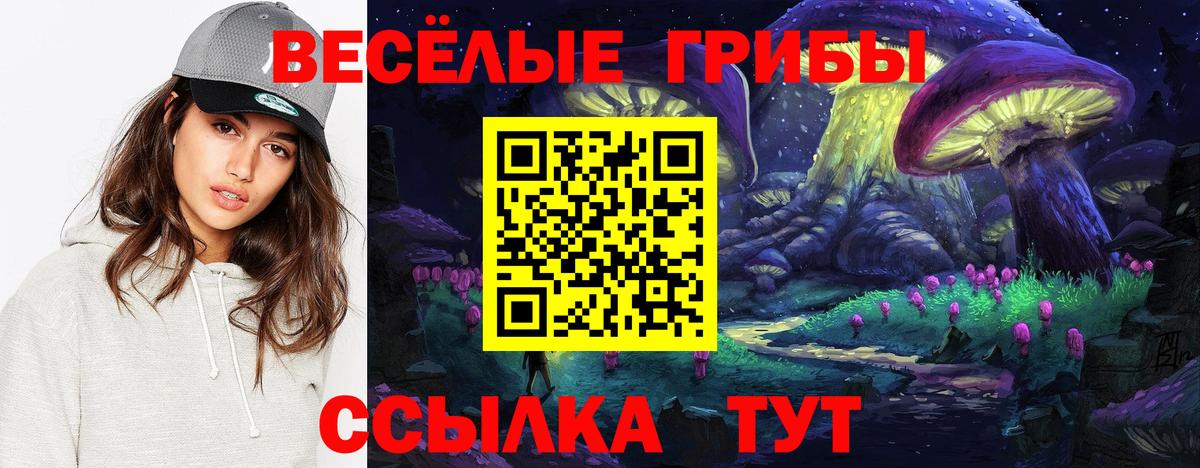 цена наркотик  Галлюциногенные грибы Psilocybe  Псилоцибиновые грибы GOLDEN TEACHER  Вход с VPN  Искитим 